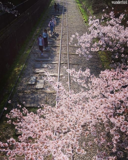 den kyoto ngam hoa anh dao thang 4 nhat dinh dung bo qua 10 dia diem nay2