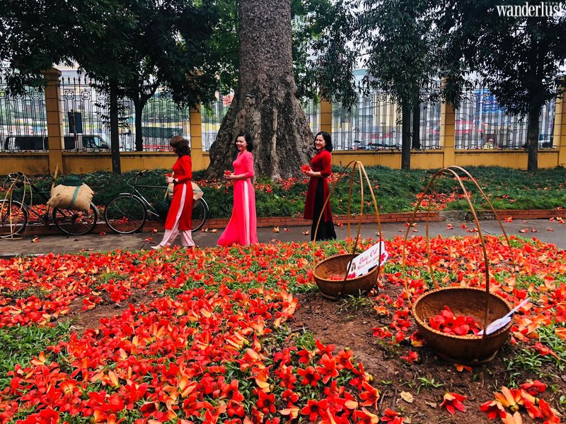 Tour “Bác Cổ - Mùa hoa gạo” - Độc đáo trải nghiệm “làng trong phố” giữa Thủ đô | Wanderlust Tips