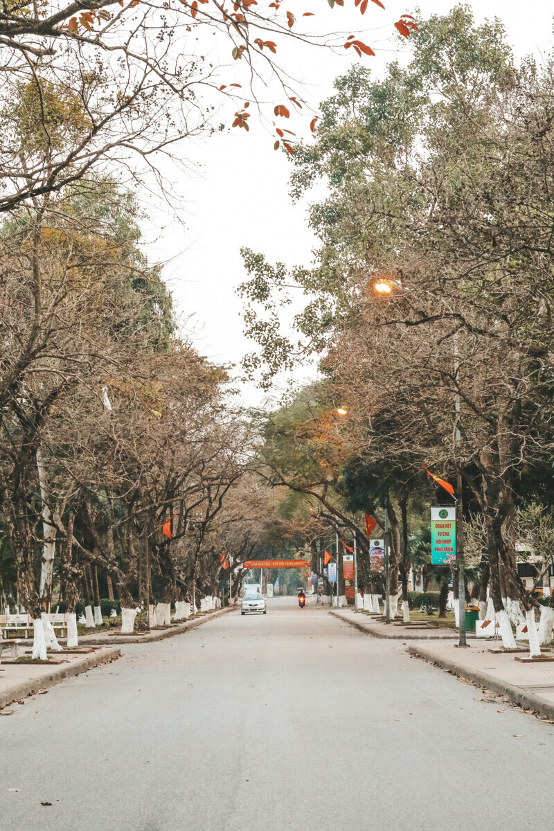 Check in top 5 trường đại học có view đỉnh nhất Việt Nam | Wanderlust Tips