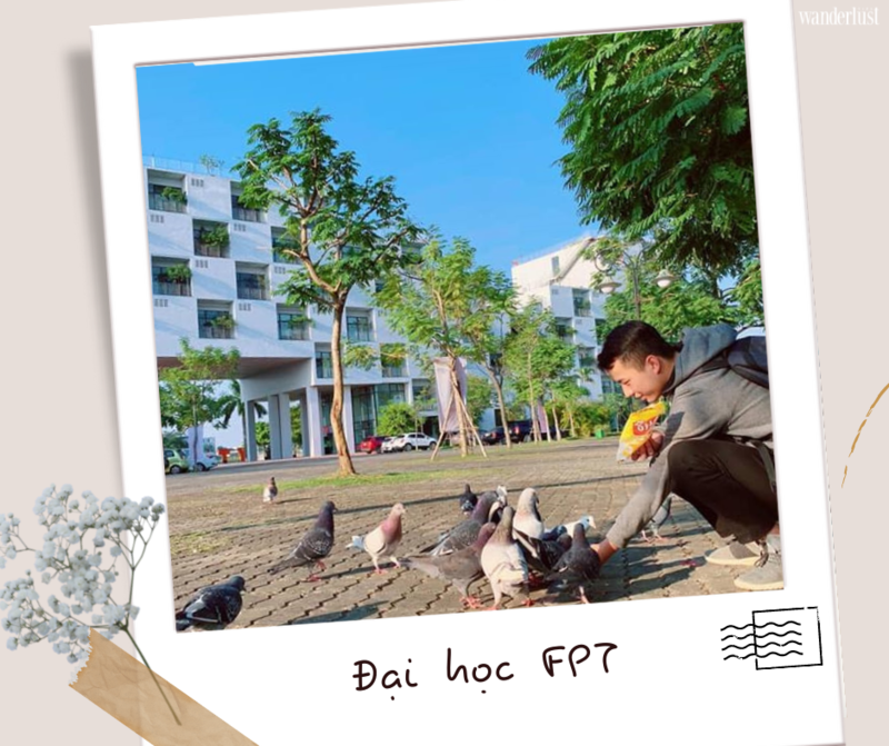 Check in top 5 trường đại học có view đỉnh nhất Việt Nam | Wanderlust Tips