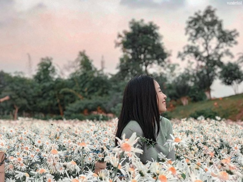 Check in top 5 trường đại học có view đỉnh nhất Việt Nam | Wanderlust Tips