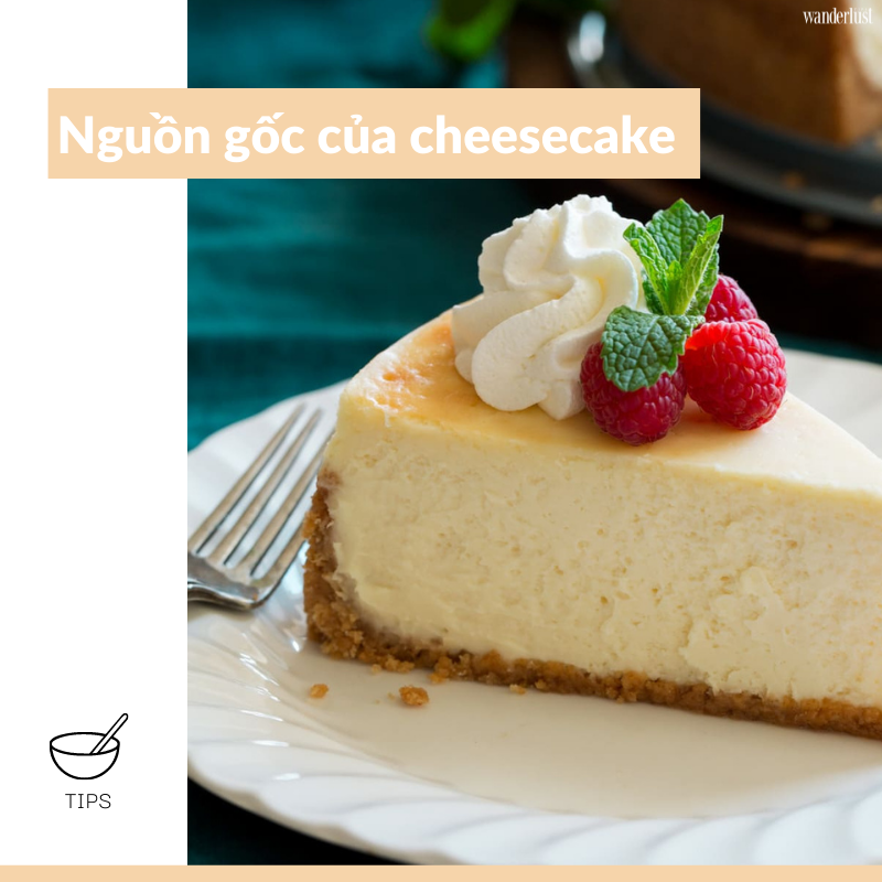 Cheesecake, món tráng miệng đi cùng thời gian | Wanderlust Tips 