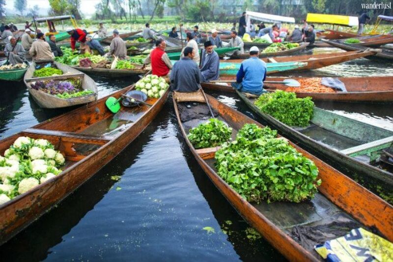 Hồ Dal, Ấn Độ: Ngơ ngẩn trước vẻ đẹp tựa chốn thần tiên 10 Ho dal an do ngan ngo truoc ve dep tua tron than tien 2
