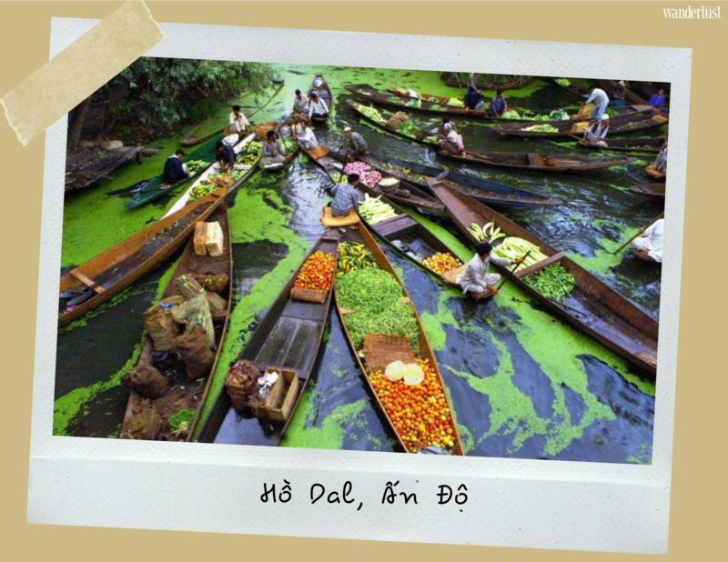 Hồ Dal, Ấn Độ: Ngơ ngẩn trước vẻ đẹp tựa chốn thần tiên 9 Hồ Dal, Ấn Độ - ngơ ngẩn trước vẻ đẹp tựa chốn thần tiên | Wanderlust Tips