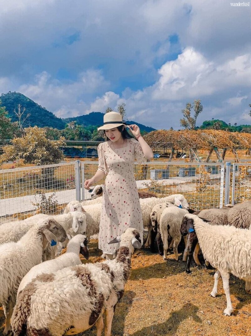 Khu du lịch Điện mặt trời An Hảo, đại sứ du lịch xanh đầy cuốn hút 8 Khu du lịch Điện mặt trời An Hảo, đại sứ du lịch xanh đầy cuốn hút | Wanderlust Tips