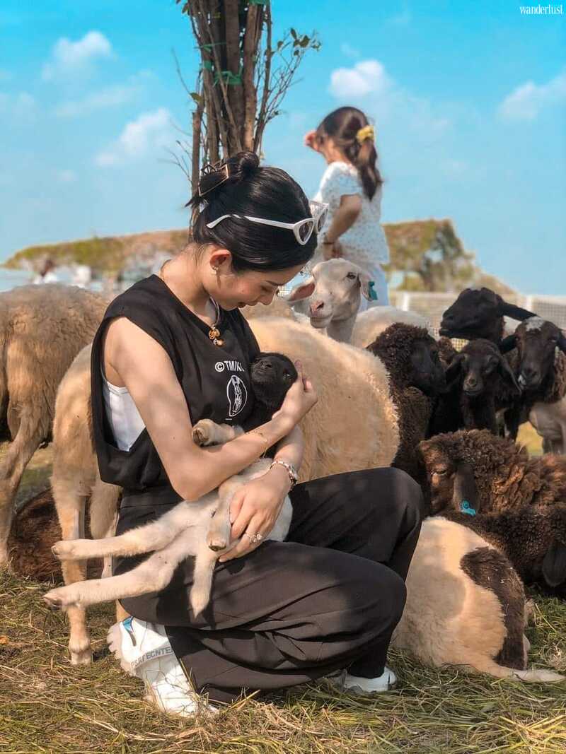 Khu du lịch Điện mặt trời An Hảo, đại sứ du lịch xanh đầy cuốn hút 9 Khu du lịch Điện mặt trời An Hảo, đại sứ du lịch xanh đầy cuốn hút | Wanderlust Tips