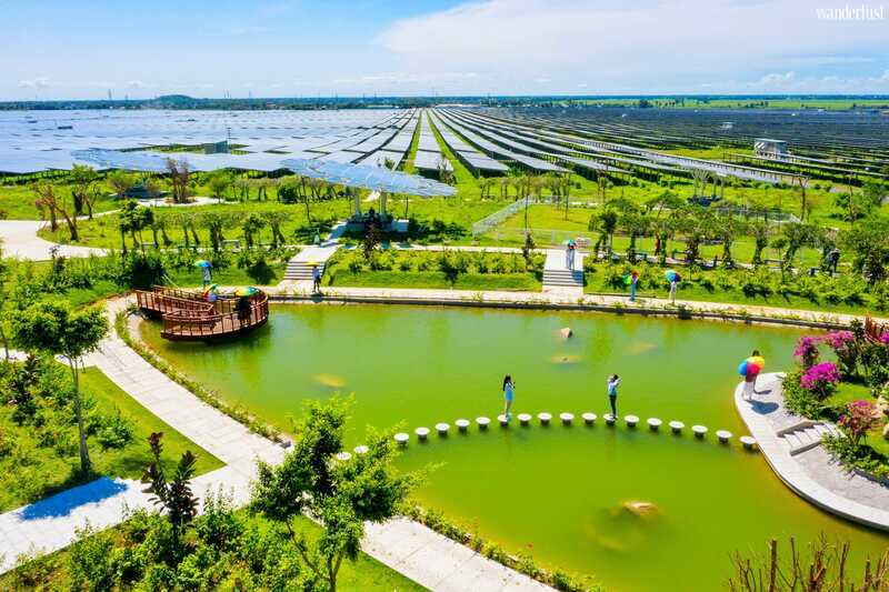 Khu du lịch Điện mặt trời An Hảo, đại sứ du lịch xanh đầy cuốn hút 6 Khu du lịch Điện mặt trời An Hảo, đại sứ du lịch xanh đầy cuốn hút | Wanderlust Tips