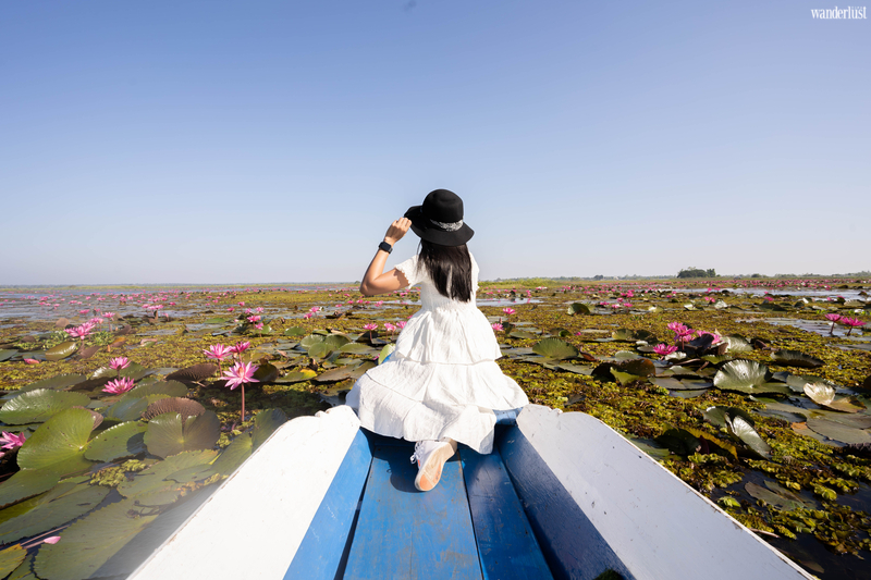 Mê mẩn vẻ đẹp tựa chốn tiên cảnh của Hồ Sen Đỏ, Thái Lan 16 Mê mẩn vẻ đẹp tựa chốn tiên cảnh của Hồ Sen Đỏ, Thái Lan | Wanderlust Tips