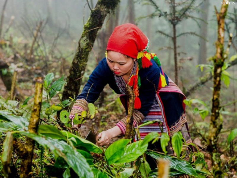 Tết Đoan Ngọ và những điều chưa biết | Wanderlust Tips
