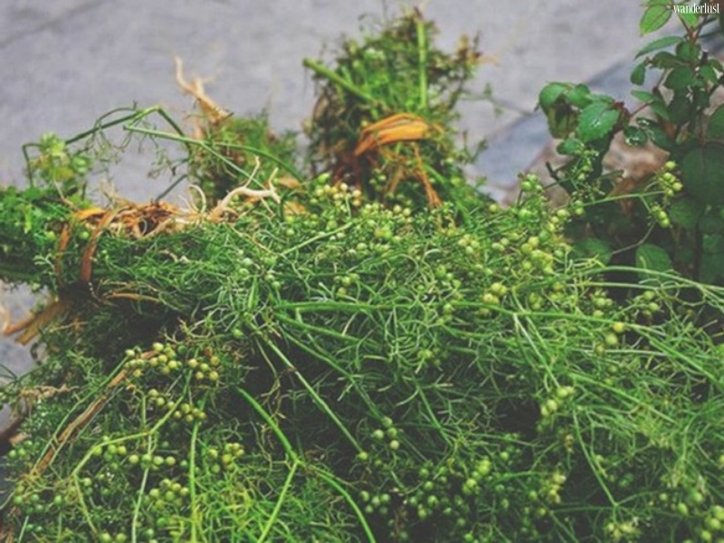 Tết Đoan Ngọ và những điều chưa biết | Wanderlust Tips
