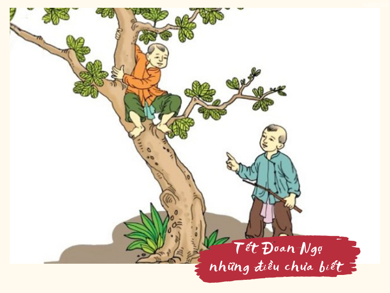 Tết Đoan Ngọ và những điều chưa biết | Wanderlust Tips
