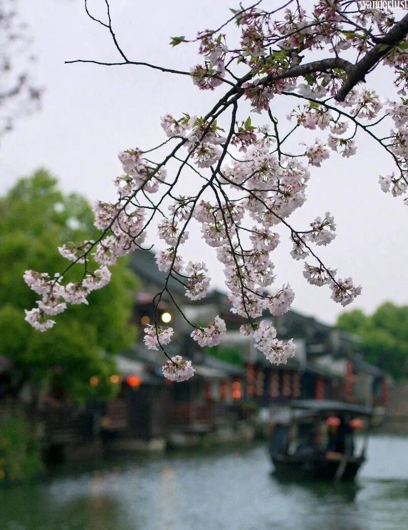Say mê vẻ đẹp cổ kính nên thơ của các cổ trấn Trung Quốc ngày cuối xuân đầu hạ 18 say me ve dep co kinh nen tho cua cac co tran trung quoc 5