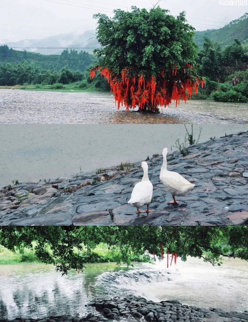 Say mê vẻ đẹp cổ kính nên thơ của các cổ trấn Trung Quốc ngày cuối xuân đầu hạ 26 say me ve dep co kinh nen tho cua cac co tran trung quoc 7
