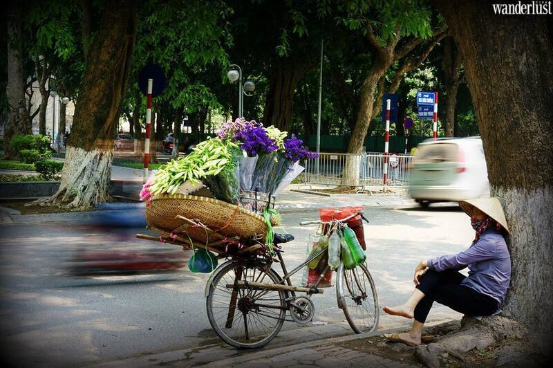 Tháng 4 về trong sắc hoa loa kèn trắng muốt tinh khôi… 6 Tháng 4 về trong sắc hoa loa kèn trắng muốt tinh khôi… | Wanderlust Tips