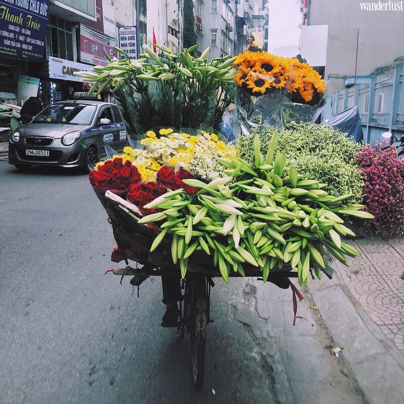Tháng 4 về trong sắc hoa loa kèn trắng muốt tinh khôi… 7 thang 4 ve trong sac hoa loa ken trang tinh khoi 9