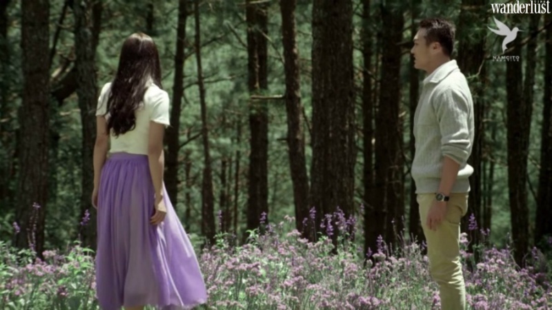 Đà Lạt mộng mơ, nguồn cảm hứng của các nhà làm phim Việt | Wanderlust Tips
