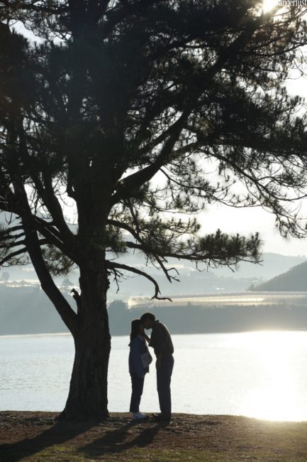 ve dep mong mo phieu lang cua da lat trong phim anh viet 18