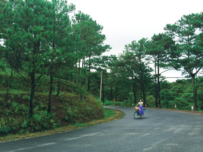 ve dep mong mo phieu lang cua da lat trong phim anh viet 8