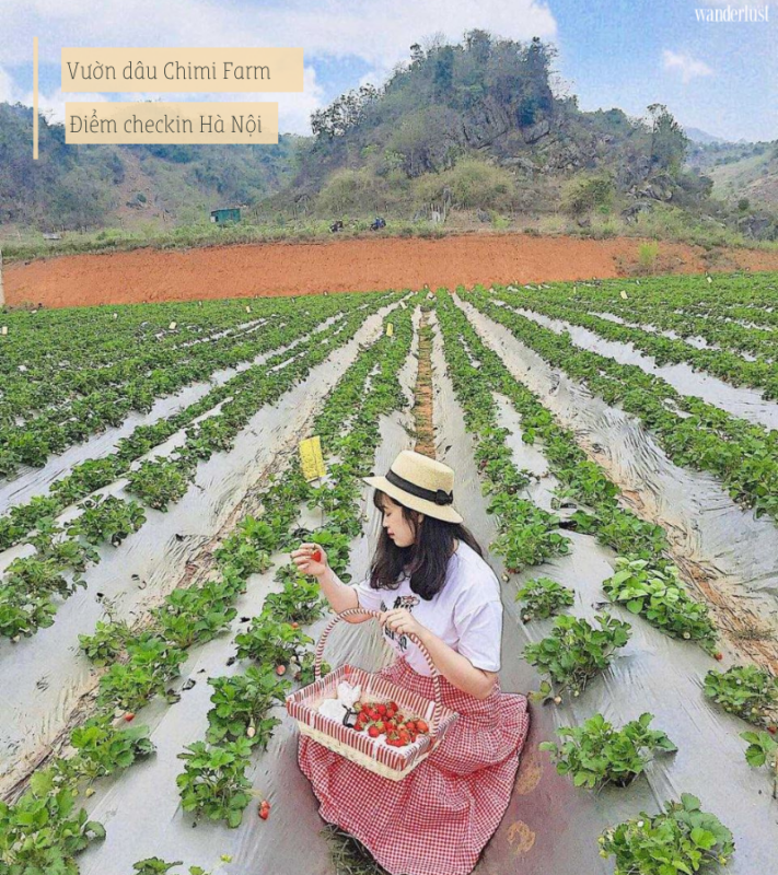 Điểm check in Hà Nội siêu xịn cho kỳ nghĩ lễ | Wanderlust Tips