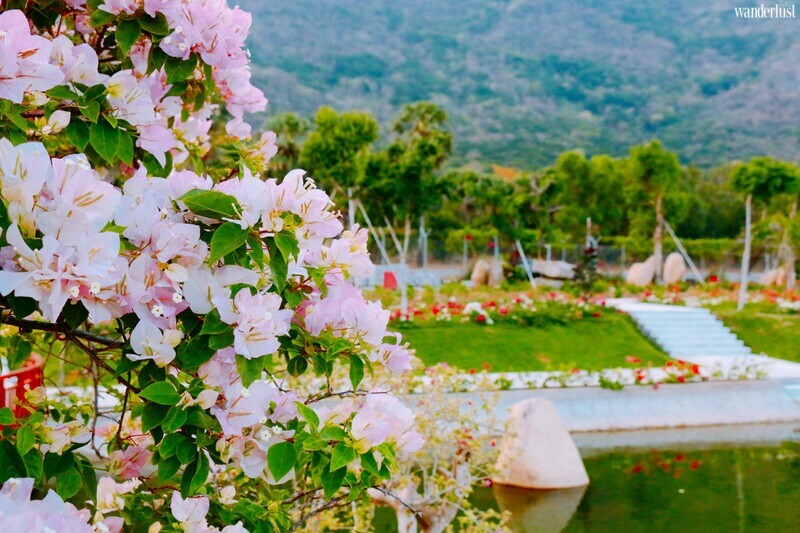 Khu du lịch Điện mặt trời An Hảo, đại sứ du lịch xanh đầy cuốn hút 13 Khu du lịch Điện mặt trời An Hảo, đại sứ du lịch xanh đầy cuốn hút | Wanderlust Tips