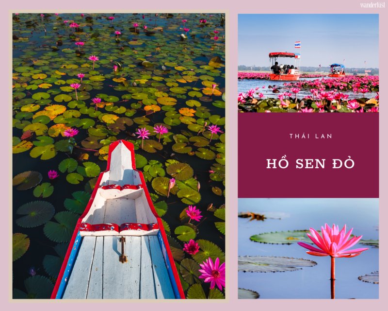 Mê mẩn vẻ đẹp tựa chốn tiên cảnh của Hồ Sen Đỏ, Thái Lan | Wanderlust Tips