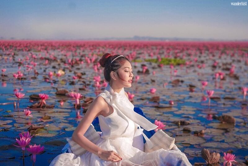 Mê mẩn vẻ đẹp tựa chốn tiên cảnh của Hồ Sen Đỏ, Thái Lan | Wanderlust Tips