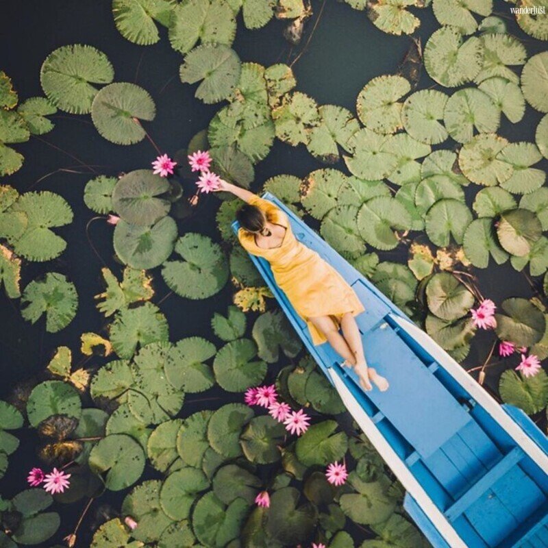 Mê mẩn vẻ đẹp tựa chốn tiên cảnh của Hồ Sen Đỏ, Thái Lan | Wanderlust Tips