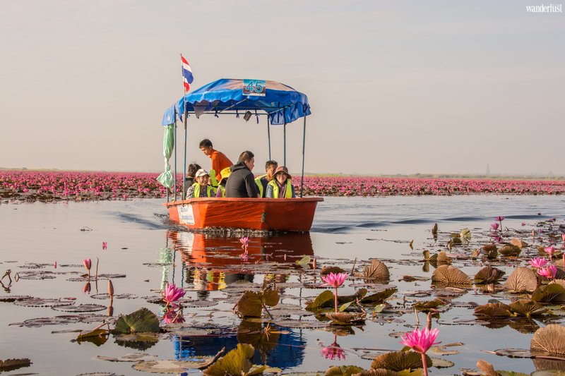 Mê mẩn vẻ đẹp tựa chốn tiên cảnh của Hồ Sen Đỏ, Thái Lan | Wanderlust Tips