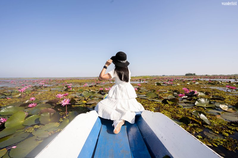 Mê mẩn vẻ đẹp tựa chốn tiên cảnh của Hồ Sen Đỏ, Thái Lan | Wanderlust Tips