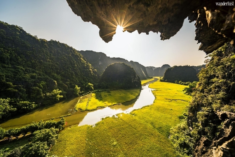Tam Cốc mùa lúa chín 6 Tam Cốc mùa lúa chín | Wanderlust Tips