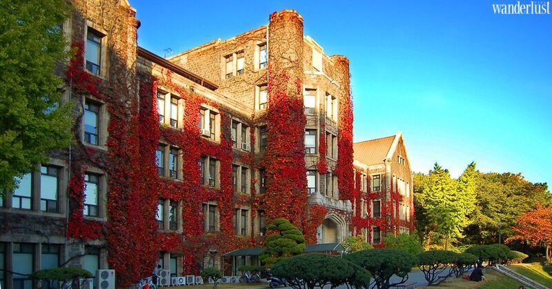 Điểm danh 5 ngôi trường đẹp như cổ tích thường xuất hiện trong phim Hàn | Wanderlust Tips