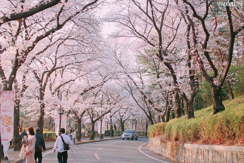 Điểm danh 5 ngôi trường đẹp như cổ tích thường xuất hiện trong phim Hàn | Wanderlust Tips