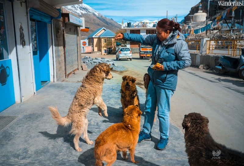 Hà là lạ: Tạo dấu ấn riêng bằng cách giữ mình là chính mình | Wanderlust Tips
