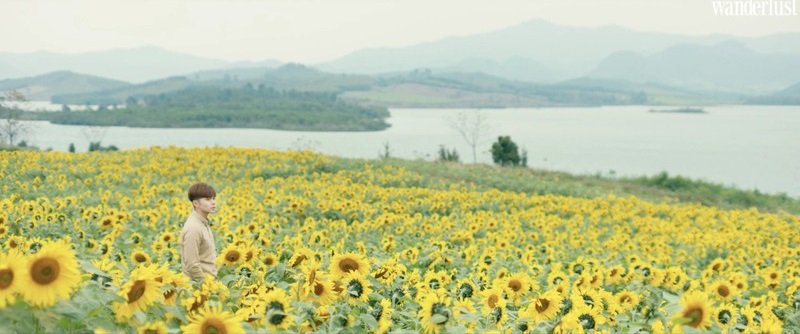 Vẻ đẹp mộng mơ phiêu lãng của Đà Lạt trong phim ảnh Việt 22 Đà Lạt mộng mơ, nguồn cảm hứng của các nhà làm phim Việt | Wanderlust Tips