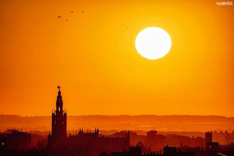 Khám phá thành phố di sản Seville, Tây Ban Nha 12 Khám phá thành phố di sản Seville, Tây Ban Nha | Wanderlust Tips
