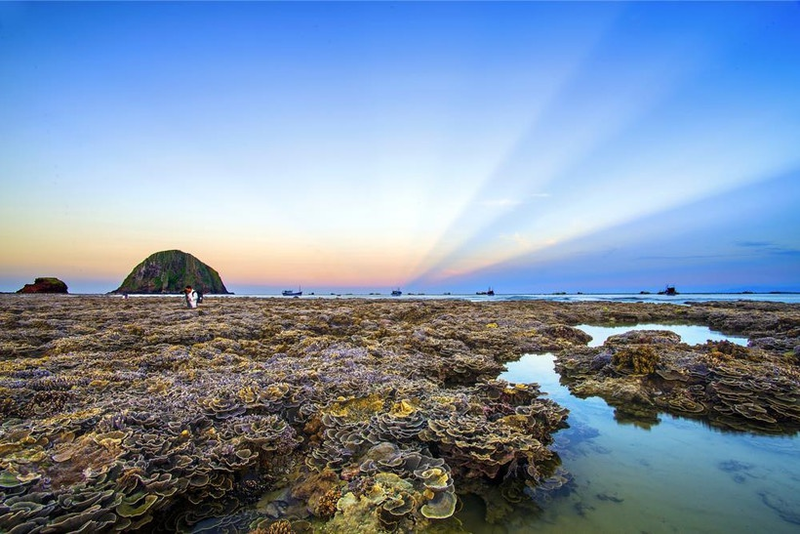 Vi vu xứ hoa vàng, cỏ xanh Phú Yên: Check-in ở đâu, ăn gì ngon? 5 Vi vu xứ hoa vàng, cỏ xanh Phú Yên - Check-in ở đâu, ăn gì ngon? | Wanderlust Tips