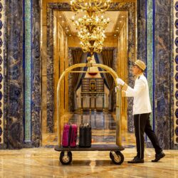 lobby bellboy luggage colour 1