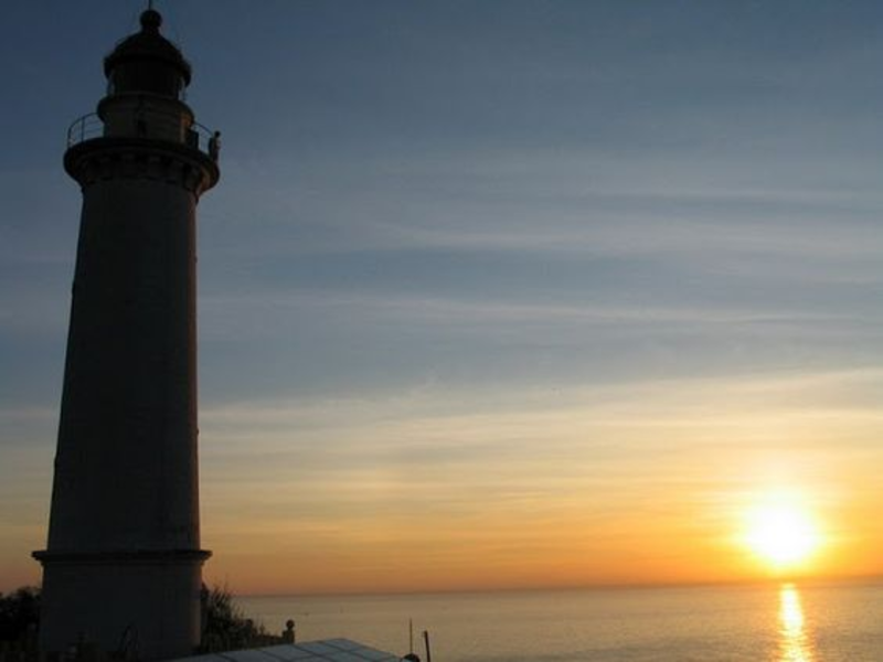 Vi vu xứ hoa vàng, cỏ xanh Phú Yên: Check-in ở đâu, ăn gì ngon? 10 Vi vu xứ hoa vàng, cỏ xanh Phú Yên - Check-in ở đâu, ăn gì ngon? | Wanderlust Tips