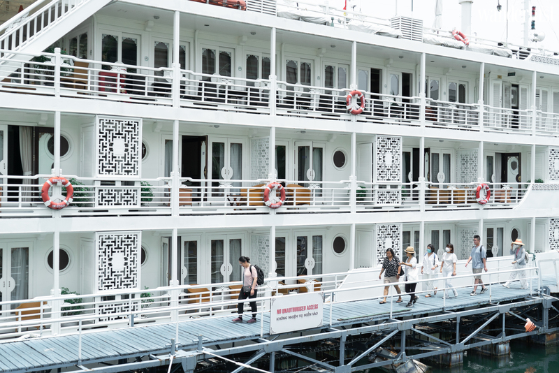 Cùng HaLong Yoga Cruise học cách “tĩnh tâm” để tìm về tự do nội tại | Wanderlust Tips 
