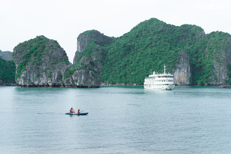 Cùng HaLong Yoga Cruise học cách “tĩnh tâm” để tìm về tự do nội tại | Wanderlust Tips 
