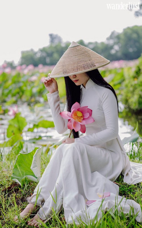 Sen về dịu dàng trên Đại Nội Huế 8 Đại Nội Huế dịu dàng mùa Sen về | Wanderlust Tips