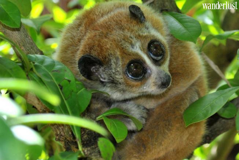 Khám phá những ngôi làng cổ đẹp nhất Việt Nam  23 Khám phá những ngôi làng cổ đẹp nhất Việt Nam | Wanderlust Tips