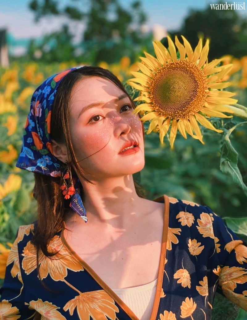 Nghệ An mùa hoa hướng dương nở rộ 9 Nghệ An mùa hoa hướng dương nở rộ | Wanderlust Tips