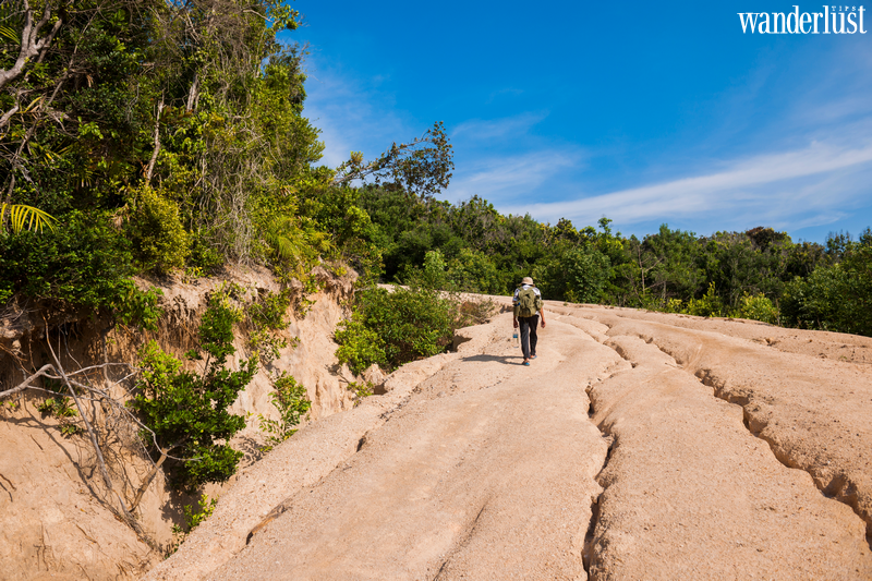 5 địa điểm trekking nổi tiếng ở Việt Nam 13 5 địa điểm trekking nổi tiếng ở Việt Nam | Wanderlust Tips