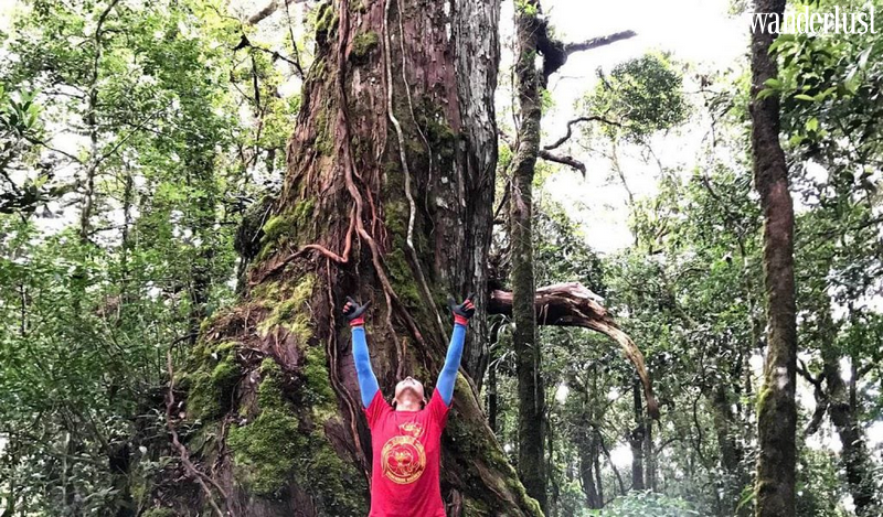 5 địa điểm trekking nổi tiếng ở Việt Nam 18 5 địa điểm trekking nổi tiếng ở Việt Nam | Wanderlust Tips