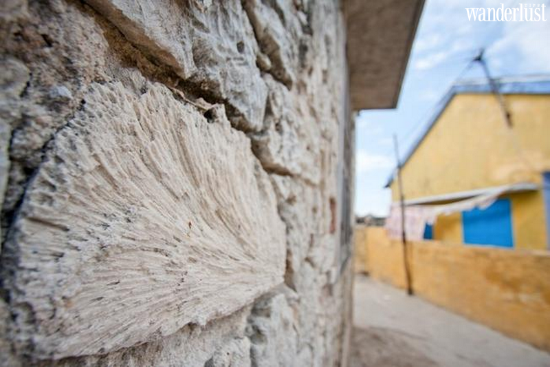 Ninh Thủy: Làng chài của những điều bình dị khó phai 7 Ninh Thủy - làng chài của những điều bình dị khó phai | Wanderlust Tips