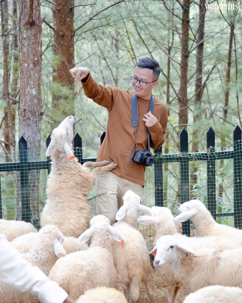 Nguyễn Hoàn Hảo, kẻ mộng mơ tìm kiếm vẻ đẹp từ những điều nhỏ nhoi | Wanderlust Tips
