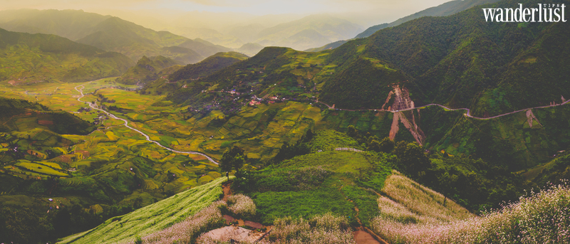 5 địa điểm check in cực chất tại Yên Bái | Wanderlust Tips