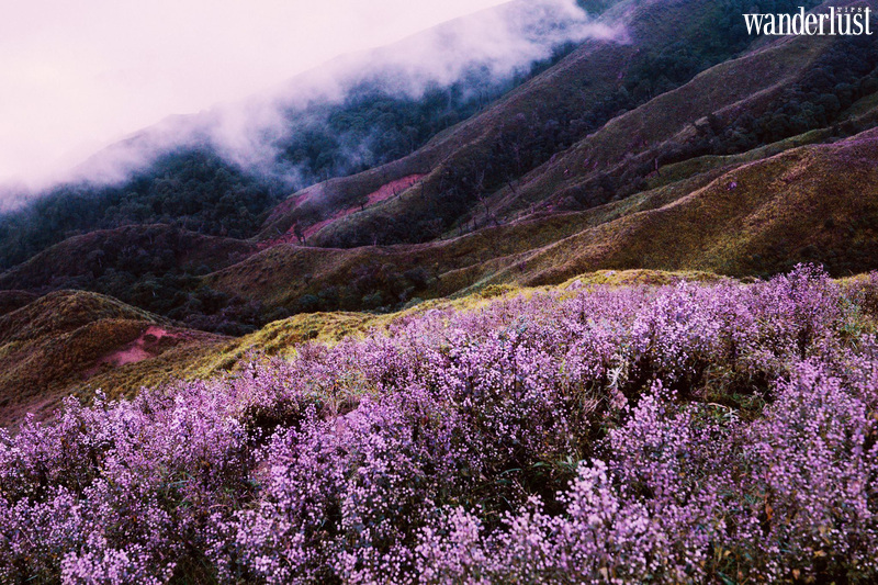 5 địa điểm check in cực chất tại Yên Bái | Wanderlust Tips