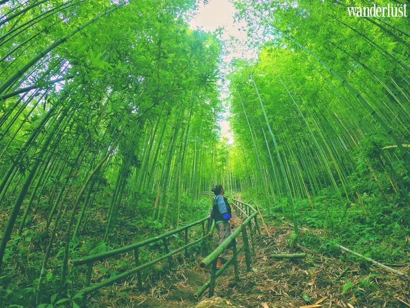 5 địa điểm check in cực chất tại Yên Bái | Wanderlust Tips